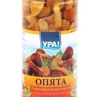 Grzyby Opiata w zalewie solno-czosnkowej 500 ml
